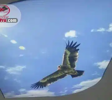 آسمان مجازی سه بعدی، کاربردهای متنوع در منزل، محل کار و فضاهای تجاری