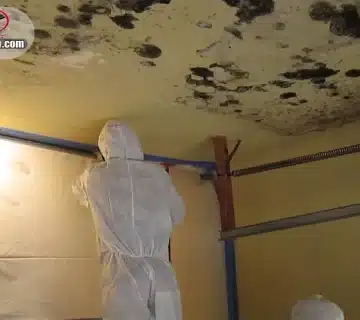 محافظت از سقف کاذب در برابر رطوبت